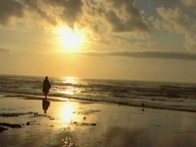 Florida tourism keeps growing thanks to American visitors