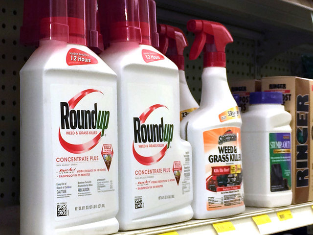 Ingredient in popular weed killer Roundup going on list as cancerous