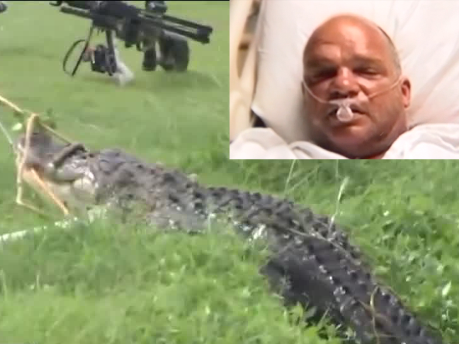 Golf ball diver from Treasure Coast survives alligator attack