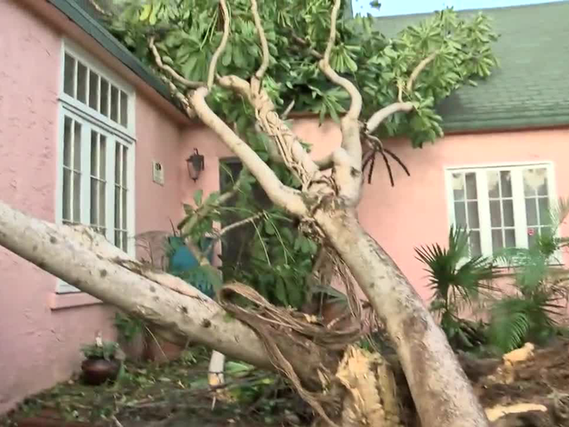 Hurricane Irma storm photos