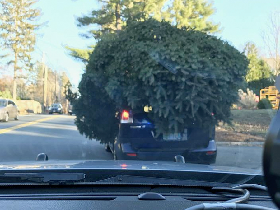 Massachusetts driver pulled over by Sudbury police for massive