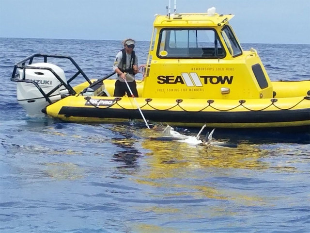 Two people die after homebuilt plane crashes in California