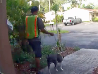 Man suspected of burglary, stealing dog in Davie